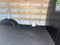 2025 Chevrolet Express Cargo Base