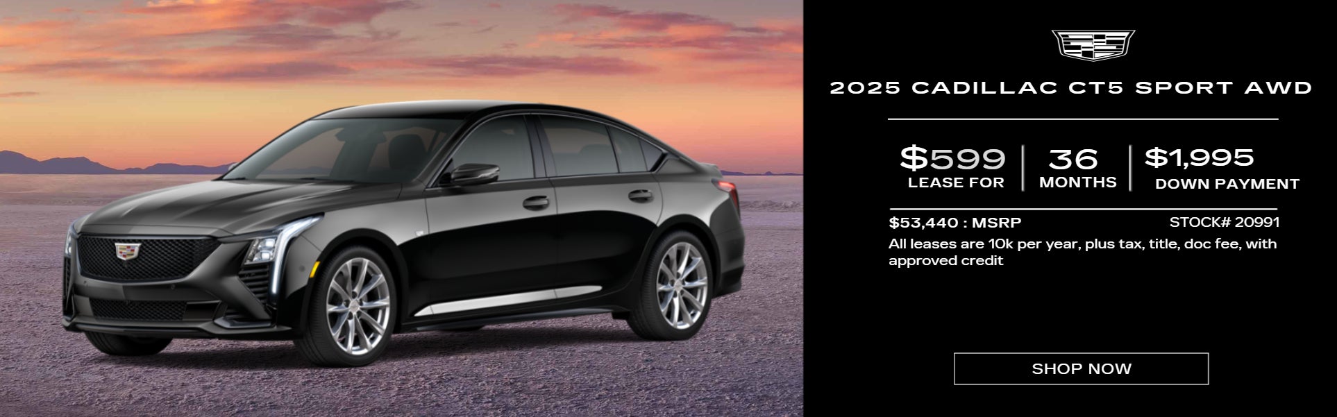BLACK CT5 ON SUNSET BACKGROUND LEASE OFFER